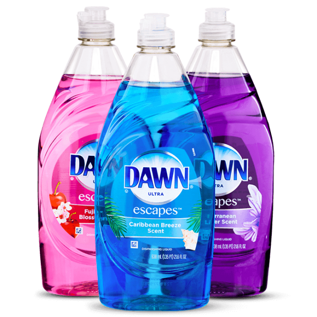Dawn Dish Soap